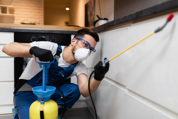 Best Best Pest Control Companies  in Burnham, IL