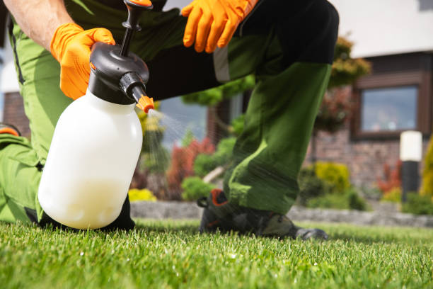 Best Pest Inspection Near Me  in Burnham, IL