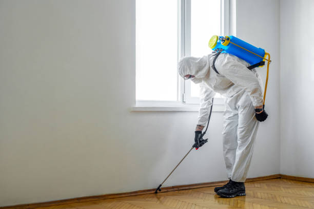 Best Pest Prevention Services  in Burnham, IL
