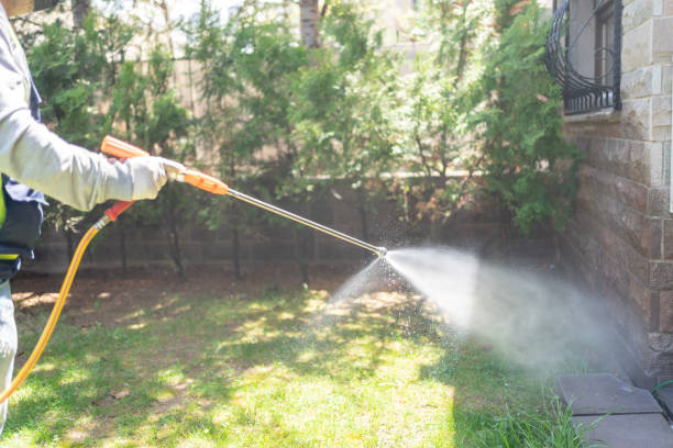 Best Affordable Pest Control Services  in Burnham, IL