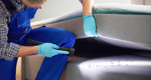 Best Commercial Pest Control Services  in Burnham, IL