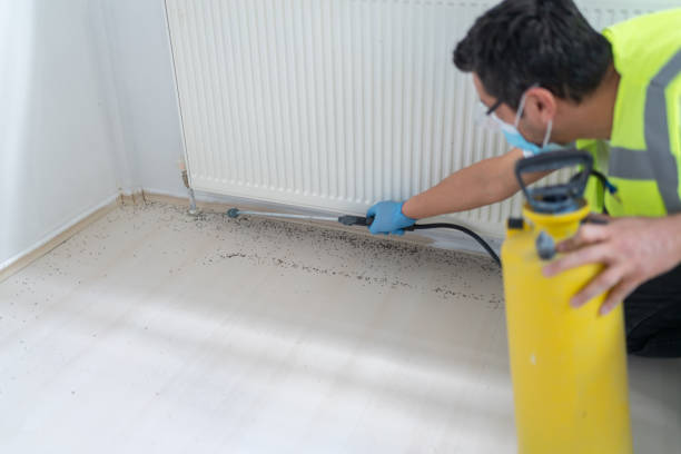 Professional Pest Control in Burnham, IL
